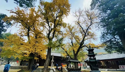 灵岩寺第 20 张图片