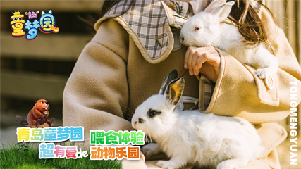 青岛童梦园第 10 张图片
