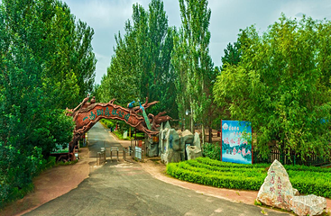 一马树森林公园第 4 张图片