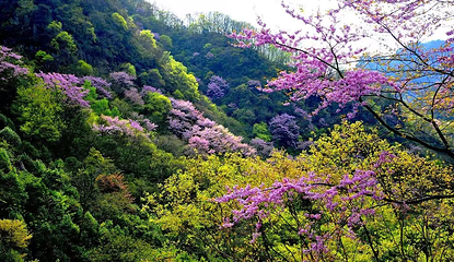 唐家河自然风景区第 15 张图片