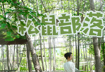 神马农场第 48 张图片