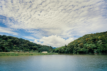 五指山方诺寨热带雨林第 9 张图片