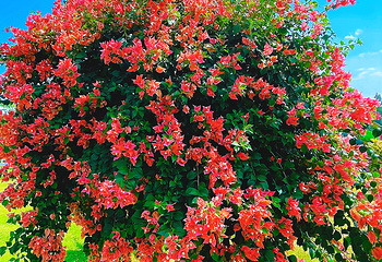 花仟谷欢乐田园(巴伐利亚店)第 8 张图片
