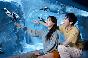 上海长风海洋世界