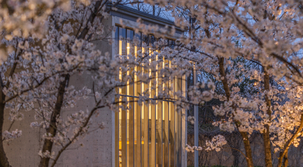 良渚文化艺术中心（大屋顶）