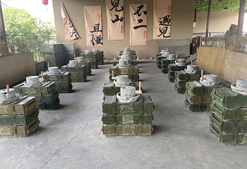 秦汉·皇家鹿苑第 11 张图片