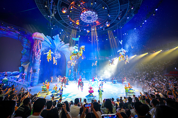 海合安武汉极地海洋公园第 241 张图片