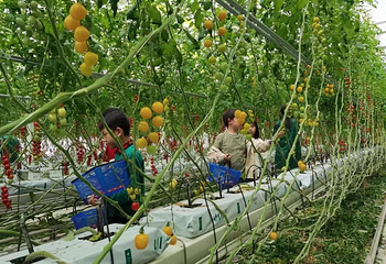 廊下郊野公园第 59 张图片