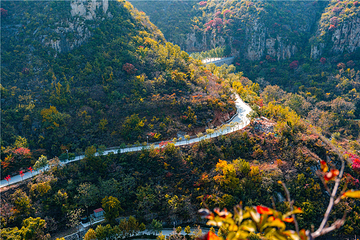 青铜山大峡谷第 111 张图片