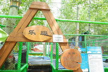 奥森乐仕堡第 33 张图片