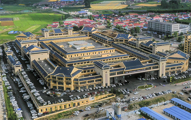 中国清河澳洋野山参国际交易市场第 3 张图片