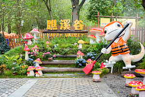 瞧溪谷西樵山亲水溪谷