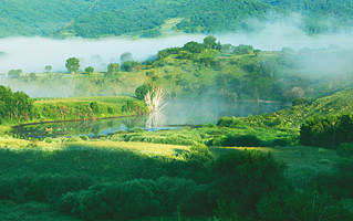 桦木沟国家森林公园