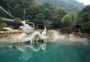 龙坞仙境第 49 张图片