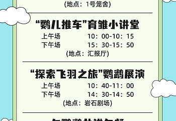 千鹦鸟舍鹦鹉主题乐园第 3 张图片