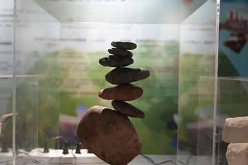 新琅琊恐龙展-《人与生物学》展学空间第 6 张图片