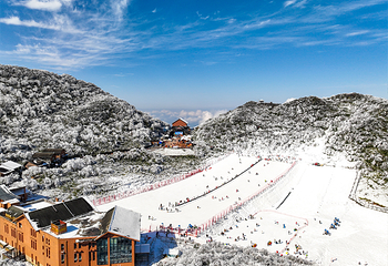 金佛山第 17 张图片