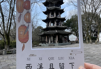 西溪国家湿地公园第 166 张图片