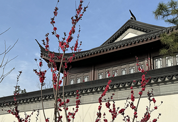 舜山小镇季子书院第 19 张图片