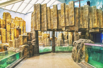 澎湖水族馆第 9 张图片