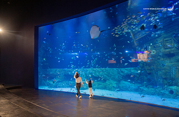 河内乐天世界水族馆第 8 张图片