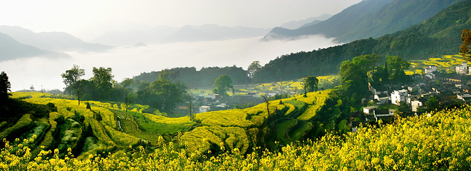 江岭景区第 65 张图片