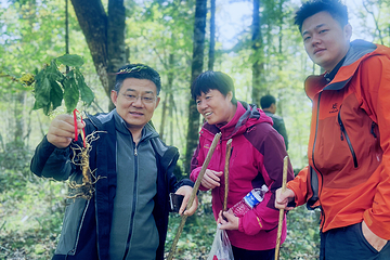 长白山山野间露营地第 14 张图片