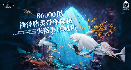 三亚亚特兰蒂斯失落的空间水族馆第 1 张图片