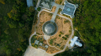 仙湖植物园第 47 张图片