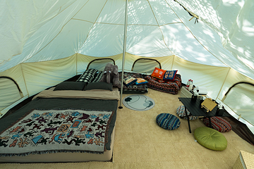 大象露营Elephant Camping第 20 张图片