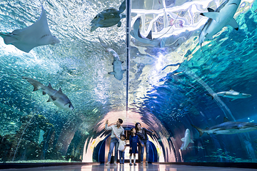 济州岛Aqua Planet水族馆第 6 张图片