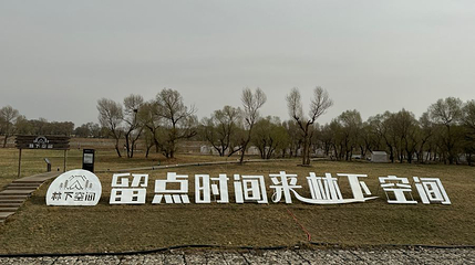 林下空间城市露营度假区第 1 张图片