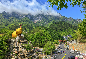 秦岭天竺山生态文化旅游景区第 12 张图片