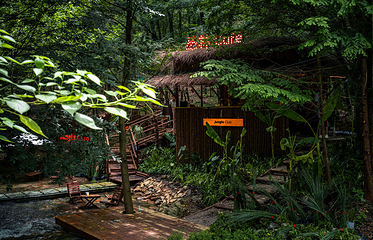 茅山森林世界第 121 张图片