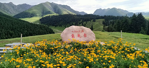 菊花台景区第 6 张图片