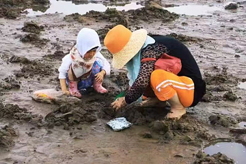 西海渔港赶海地第 5 张图片