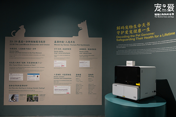深圳博物馆《宠·爱—猫猫狗狗的世界》展览第 4 张图片