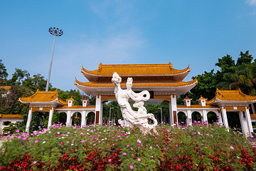 仙湖植物园第 29 张图片