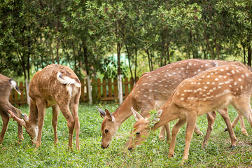桐梓小西湖第 12 张图片