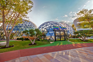 阿布扎比蝴蝶园