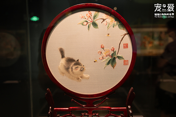 深圳博物馆《宠·爱—猫猫狗狗的世界》展览第 8 张图片