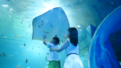 内江海昌海洋探索馆第 5 张图片