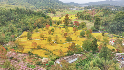 塔川第 84 张图片