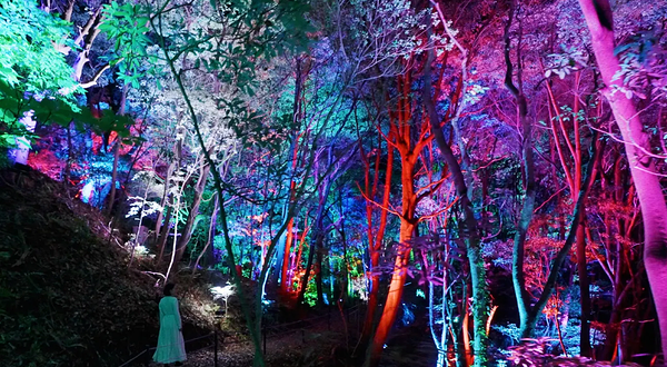 teamLab 幽谷隐田迹