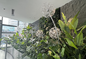 比亚迪迪空间|郑州馆第 28 张图片