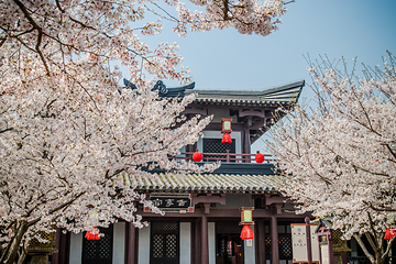 三国水浒景区(中央电视台无锡影视基地)第 34 张图片
