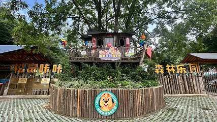 松鼠咔咔森林乐园第 11 张图片