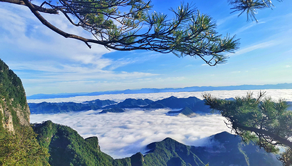 秦岭天竺山生态文化旅游景区第 10 张图片