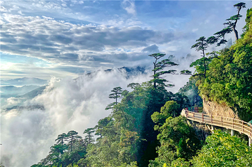 莽山五指峰景区第 8 张图片