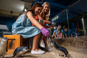 阳光海岸水族馆第 8 张图片